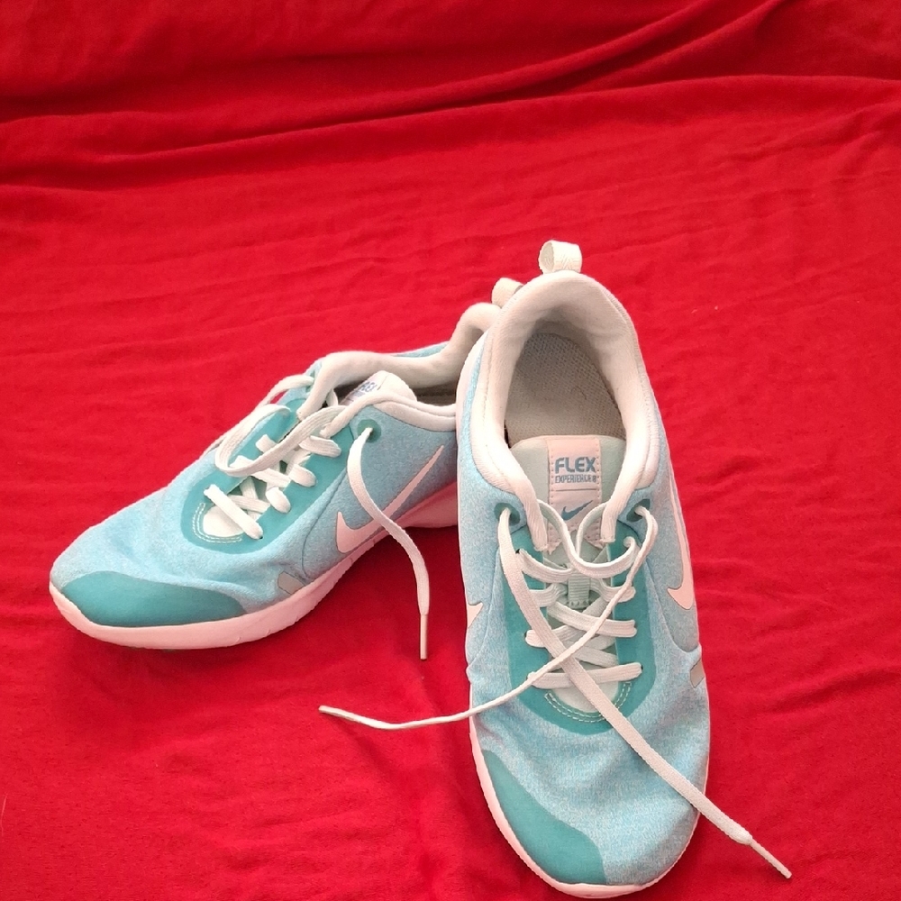 Nike Women's Light Blue Flex Sneakers